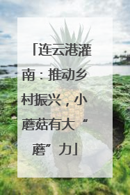 连云港灌南：推动乡村振兴，小蘑菇有大“蘑”力