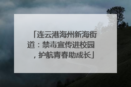 连云港海州新海街道：禁毒宣传进校园，护航青春助成长