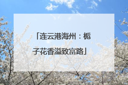 连云港海州：栀子花香溢致富路
