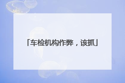 车检机构作弊，该抓