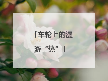 车轮上的漫游“热”