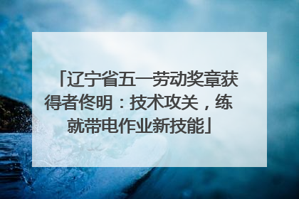 辽宁省五一劳动奖章获得者佟明：技术攻关，练就带电作业新技能