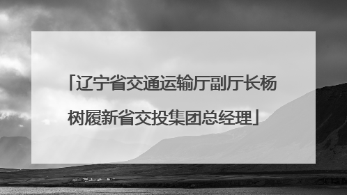 辽宁省交通运输厅副厅长杨树履新省交投集团总经理