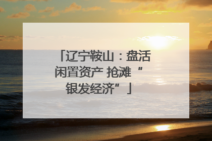 辽宁鞍山：盘活闲置资产 抢滩“银发经济”