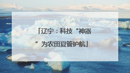 辽宁：科技“神器”为农田夏管护航