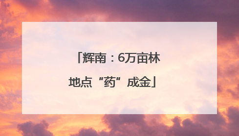辉南：6万亩林地点“药”成金
