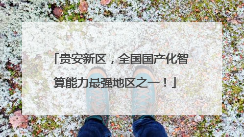 贵安新区，全国国产化智算能力最强地区之一！
