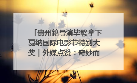 贵州籍导演毕赣拿下戛纳国际电影节特别大奖｜外媒点赞：奇妙而广阔的纯粹电影梦