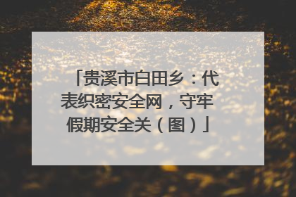 贵溪市白田乡：代表织密安全网，守牢假期安全关（图）