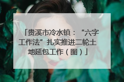 贵溪市冷水镇：“六字工作法”扎实推进二轮土地延包工作（图）