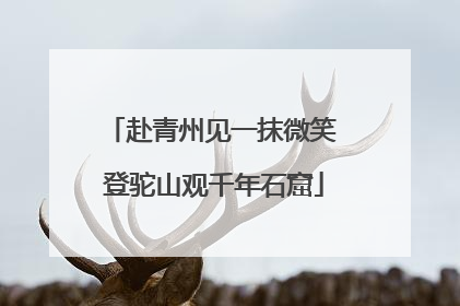 赴青州见一抹微笑 登驼山观千年石窟