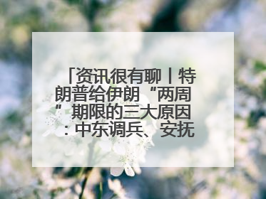 资讯很有聊丨特朗普给伊朗“两周”期限的三大原因：中东调兵、安抚国内、个人习惯