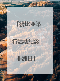 赞比亚举行活动纪念非洲日