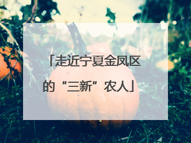 走近宁夏金凤区的“三新”农人