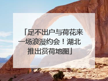 足不出户与荷花来一场浪漫约会！湖北推出赏荷地图