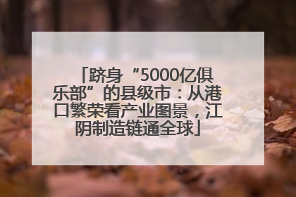 跻身“5000亿俱乐部”的县级市：从港口繁荣看产业图景，江阴制造链通全球