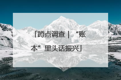蹲点调查｜“账本”里头话振兴