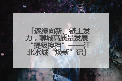 逐绿向新、链上发力，聊城高质量发展“提级换挡”——江北水城“焕新”记