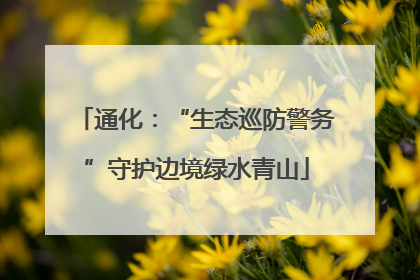通化：“生态巡防警务”守护边境绿水青山