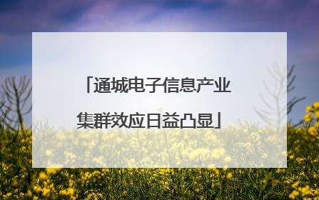通城电子信息产业集群效应日益凸显