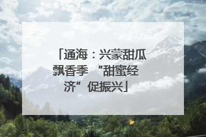 通海：兴蒙甜瓜飘香季 “甜蜜经济”促振兴