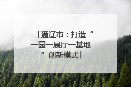 通辽市：打造“一园一展厅一基地”创新模式