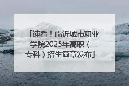 速看！临沂城市职业学院2025年高职（专科）招生简章发布
