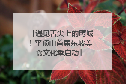 遇见舌尖上的鹰城！平顶山首届东坡美食文化季启动