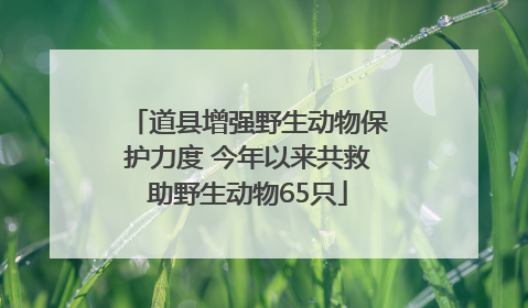 道县增强野生动物保护力度 今年以来共救助野生动物65只