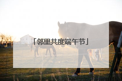 邻里共度端午节