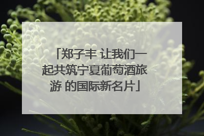郑子丰 让我们一起共筑宁夏葡萄酒旅游 的国际新名片