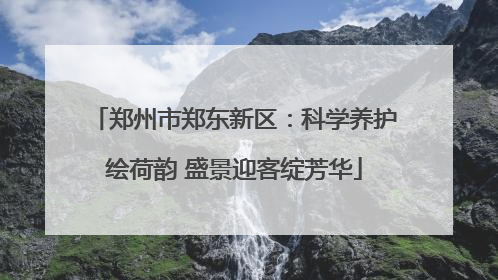 郑州市郑东新区：科学养护绘荷韵 盛景迎客绽芳华