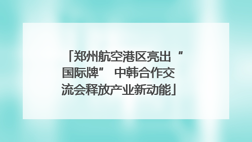 郑州航空港区亮出“国际牌” 中韩合作交流会释放产业新动能