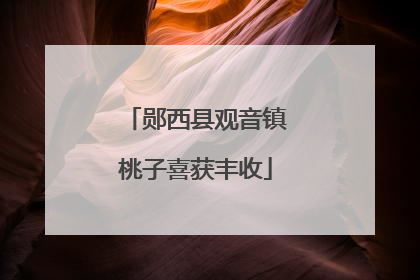 郧西县观音镇桃子喜获丰收