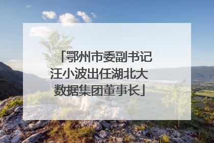 鄂州市委副书记汪小波出任湖北大数据集团董事长