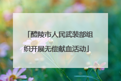 醴陵市人民武装部组织开展无偿献血活动