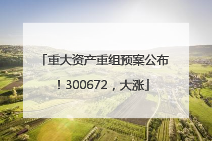 重大资产重组预案公布！300672，大涨
