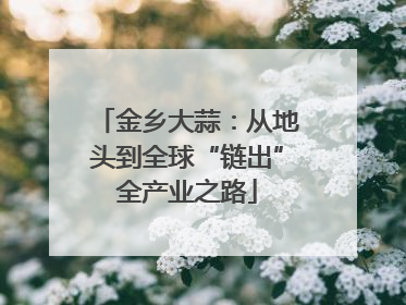 金乡大蒜：从地头到全球“链出”全产业之路