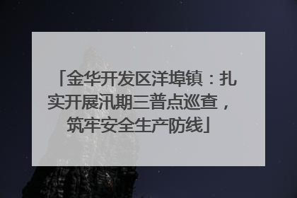 金华开发区洋埠镇：扎实开展汛期三普点巡查，筑牢安全生产防线