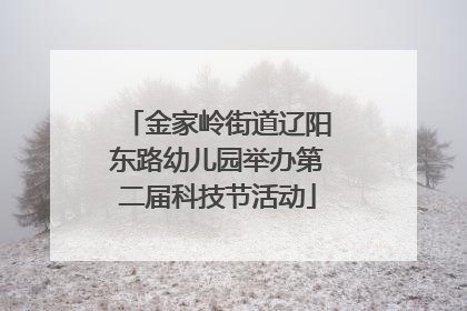金家岭街道辽阳东路幼儿园举办第二届科技节活动