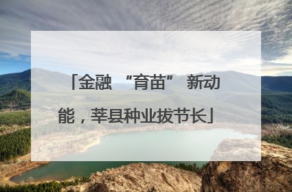 金融 “育苗” 新动能，莘县种业拔节长