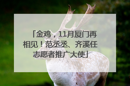 金鸡，11月厦门再相见！范丞丞、齐溪任志愿者推广大使