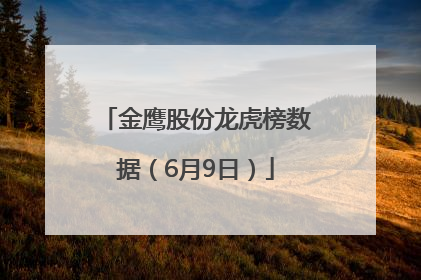 金鹰股份龙虎榜数据（6月9日）