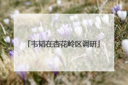 韦韬在杏花岭区调研