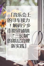 音乐会上的寻车接力！解码宁乡市夏铎铺镇“三长制”的基层治理新实践