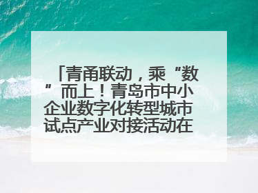 青甬联动，乘“数”而上！青岛市中小企业数字化转型城市试点产业对接活动在宁波开班