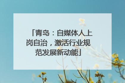 青岛：自媒体人上岗自治，激活行业规范发展新动能