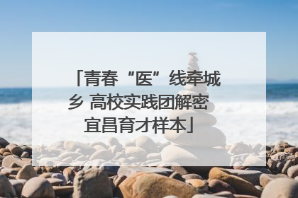 青春“医”线牵城乡 高校实践团解密宜昌育才样本
