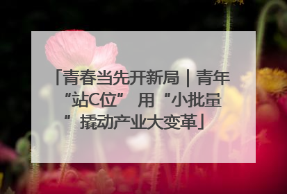 青春当先开新局｜青年“站C位” 用“小批量”撬动产业大变革