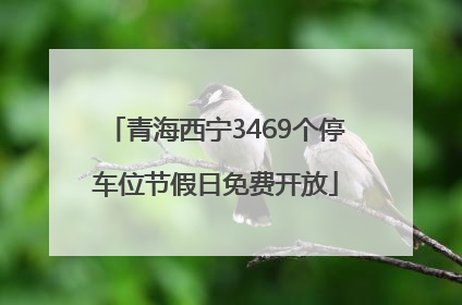 青海西宁3469个停车位节假日免费开放